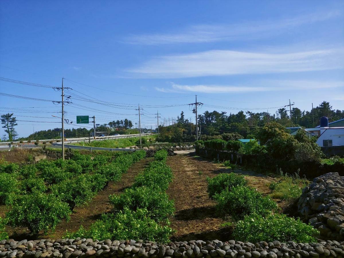 Villa Orchard Samdal Seogwipo Exterior foto